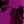 Magenta Shadow Floral