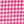 Pink Burst Gingham