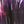 Black Blur