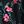 Black Foliage Floral