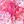 Pink Burst Paisley