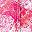 Pink Burst Paisley