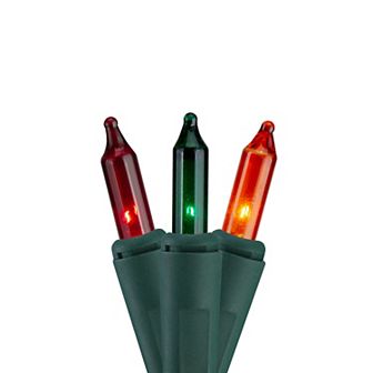 Hofert 48-ft. Multi-Color Everglow Chasing Mini Christmas Lights