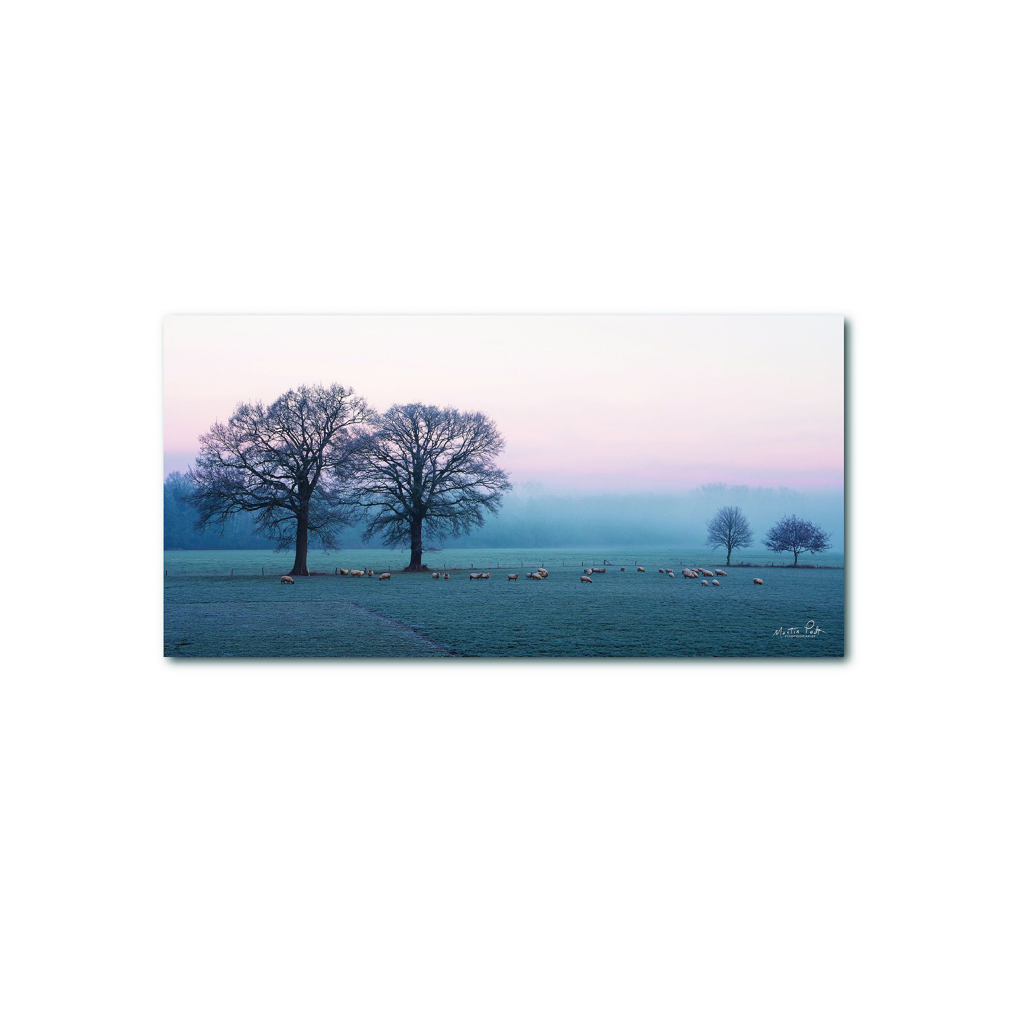COURTSIDE MARKET Sheep on a Cold Morning Canvas, Multi