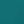Tropical Teal
