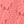 Sweet Coral