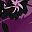 Dark Berry Blossom