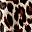 Oatmeal Animal Print