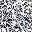 White Etchy Floral