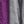 Plum Purple Heather