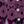 Dark Berry Intricate