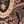 Black Paisley