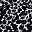 Black Textured Animal
