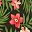 Black Tropical Floral