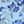 Blue Painterly Flowers