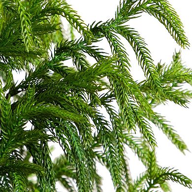 nearly natural 5-ft. Artificial Norfolk Pine Tree