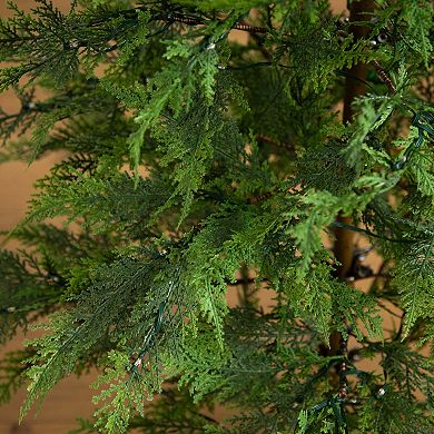 nearly natural 5-ft. Pre-Lit Artificial Park City Pine Christmas Tree
