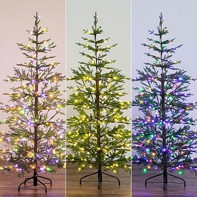 nearly natural 6-ft. Pre-Lit Artificial Natural Fresh Cut Fir Christmas Tree