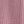 Begonia