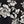 Black Garden Floral