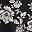 Black Garden Floral