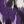 Midnight Violet Ikat