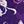 Midnight Violet