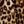 Brown Classic Animal
