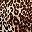 Brown Classic Animal