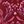 Burgundy Painted