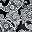 Black Fancy Paisley