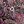 Black Packed Paisley