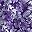 Midnight Violet