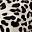Animal Print