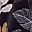 Black Palm Leaves
