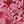 Burgundy Lavish