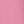 Pink Blossom