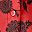 Vivid Red Floral