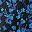 Black Graphic Ditsy