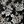 Black Rose Floral