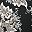 Black Rose Floral