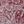 Rich Burgundy Floral
