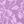 Violet Rose Floral