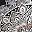 Black White Lace Print