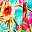 Aqua Tropical