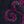 Dark Berry Swirl