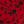 Red Ditsy Vines