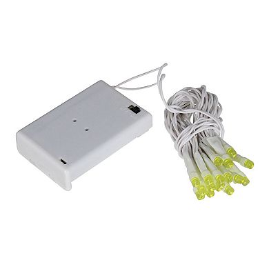 Sienna 20 Pre-Lit Green Battery Operated LED Wide Angle Christmas Lights - 6.25 ft White Wire