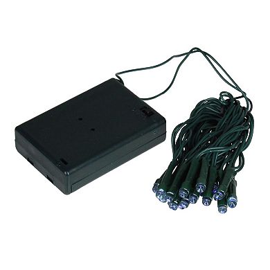 Sienna 20 Battery Operated Blue LED Wide Angle Christmas Lights - 6.25 ft Green Wire