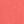 Sunset Coral